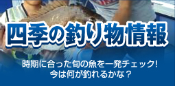 �l�G�̒ނ蕨���
