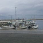 DSC_0258.jpg