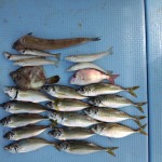 DSC_0582.jpg