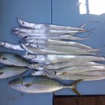 DSC_0609 DSC_0609.jpg