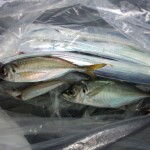 DSC_0626 DSC_0626.jpg