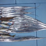 DSC_0649 DSC_0649.jpg