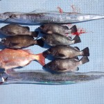 DSC_0824 DSC_0824.jpg