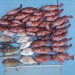 DSC_0942.jpg
