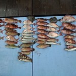 DSC_0966.jpg