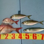 DSC_0024_8 DSC_0024_8.jpg