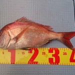 DSC_0025_4 DSC_0025_4.jpg