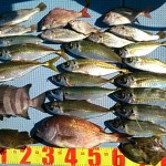 DSC_0033_3 DSC_0033_3.jpg