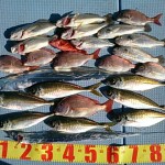 DSC_0037_2 DSC_0037_2.jpg