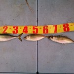 2014_12_20_2 2014_12_20_2.jpg