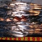 DSC_0038 DSC_0038.jpg