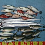 DSC_0041 DSC_0041.jpg