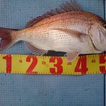 DSC_0042_3 DSC_0042_3.jpg