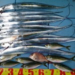 DSC_0043 DSC_0043.jpg