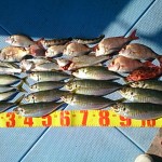 DSC_0044_2 DSC_0044_2.jpg