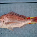 DSC_0045_3 DSC_0045_3.jpg