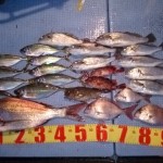 DSC_0046_2 DSC_0046_2.jpg