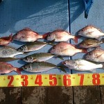 DSC_0047 DSC_0047.jpg