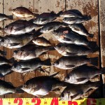 20150118_114425 20150118_114425.jpg