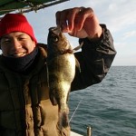 2015_2_14_4 2015_2_14_4.jpg