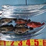 DSC_0017_3 DSC_0017_3.jpg