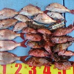 DSC_0044_6 DSC_0044_6.jpg