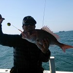 DSC_0047_3 DSC_0047_3.jpg