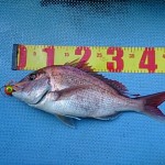 DSC_0049_2 DSC_0049_2.jpg