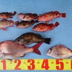 DSC_0049_3 DSC_0049_3.jpg