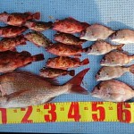 DSC_0050 DSC_0050.jpg