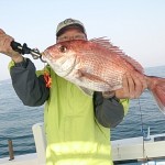 DSC_0051_3 DSC_0051_3.jpg