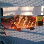 DSC_0067 DSC_0067.jpg