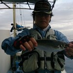 2015_5_3_3 2015_5_3_3.jpg