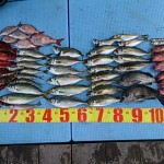 DSC_0075 DSC_0075.jpg