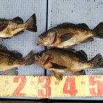 DSC_0338_20.JPG