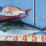 DSC_0392_4.JPG